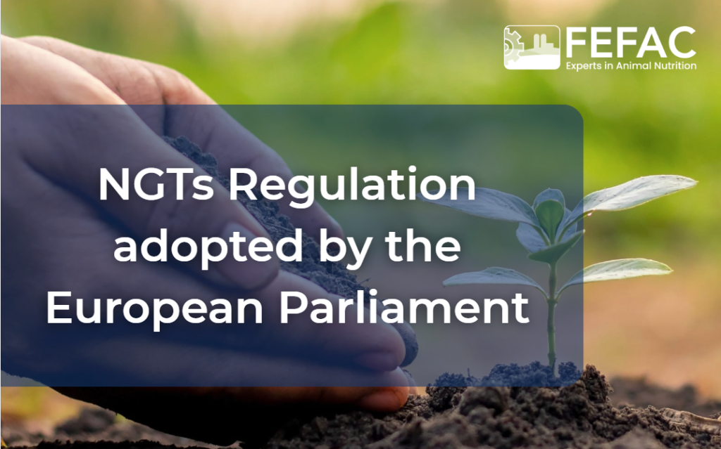 NGTs Regulation adopted by the European Parliament
