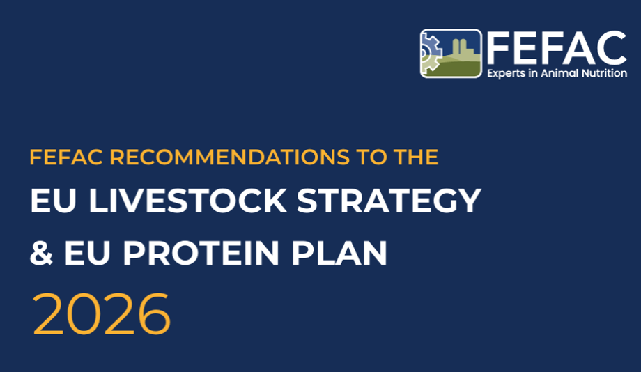 FEFAC RELEASED ITS KEY RECOMMENDATIONS TO THE EU LIVESTOCK STRATEGY & EU PROTEIN PLAN 2026