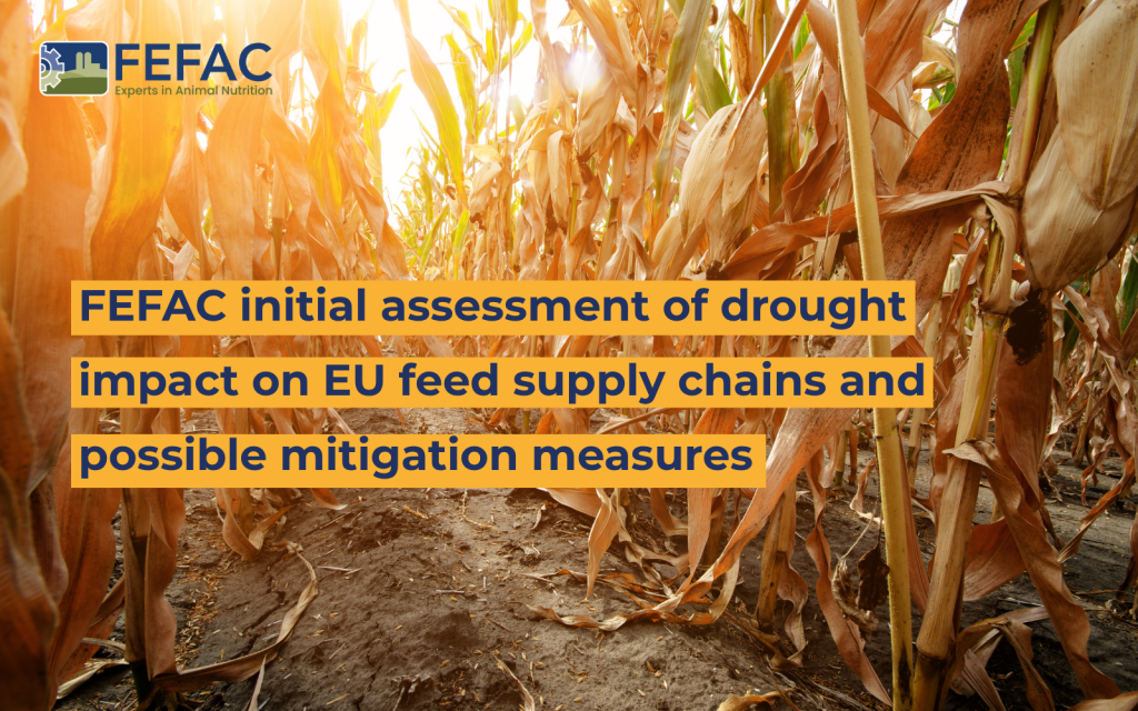 FEFAC initial assessment of drought impact on EU feed supply chains and possible mitigation measures