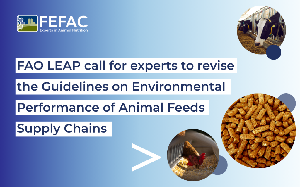 FAO LEAP call for experts to revise the Guidelines on Environmental Performance of Animal Feeds Supply Chains
